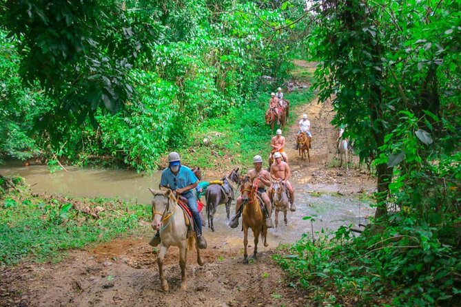 Eco Aventure Park+ Zipline+Horseback Ride+Buggy - Stop 1 at Anamuya: Eight Carbon Fiber Zip Lines and a Suspension Bridge