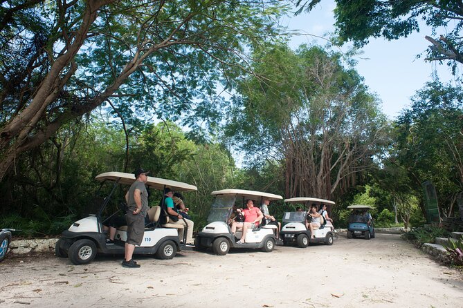 Eco Exploration: Golf Cart Adventure and Catamaran Cruise - Golf Carts Through the Apiary, Iguanario, and Gardens
