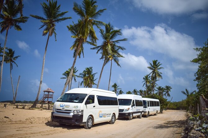 Effortless Airport Transfers in Punta Cana - Pickup and timing: what the 15 and 20-minute buffers mean