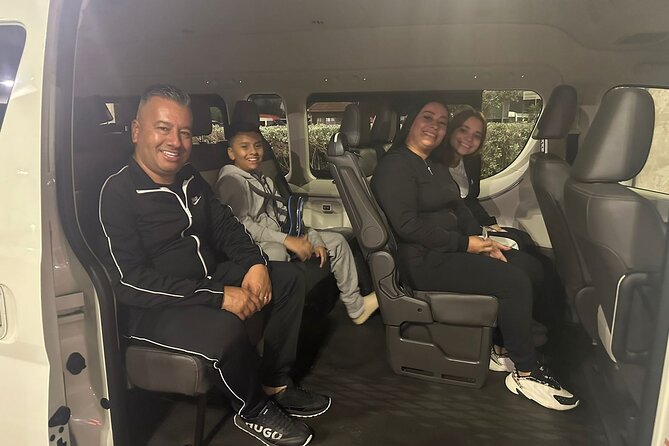Exclusive Service Private Transfer Airport to Punta Cana (PUJ) - Who This Transfer Works Best For