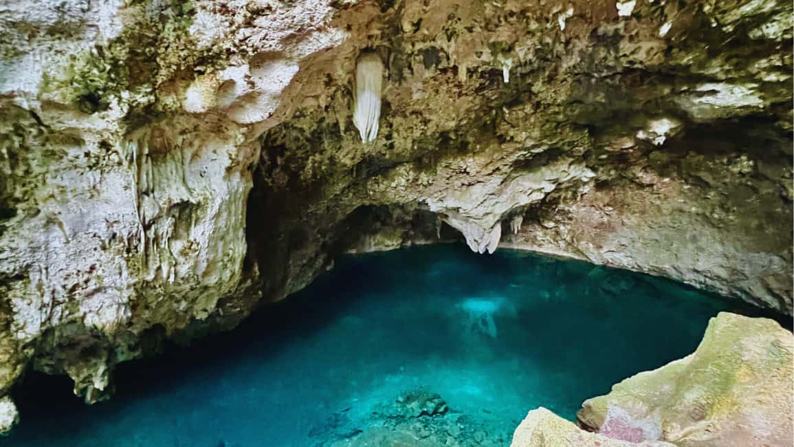 Exclusive VIP Excursion: Santo Domingo from Punta Cana – Private Service - From park to palaces: the short guided segment you’ll notice