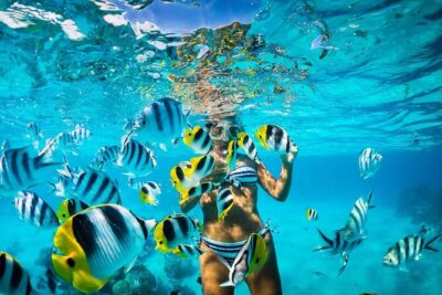 Excursion to Catalina Island and Snorkeling from Punta Cana - Cruising the Coast on the Paraíso: The Part You Might Underestimate
