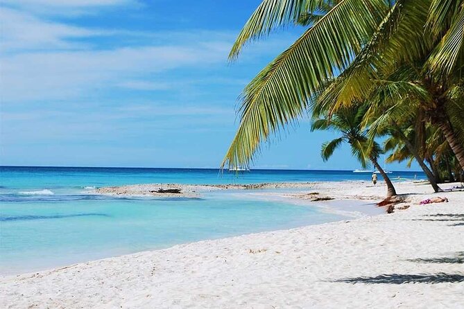 Excursion to Catalina Island and Snorkeling from Punta Cana - Timing and Group Flow: Why Your Comfort Depends on Expectations