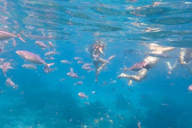 Excursion to Catalina Island and Snorkeling from Punta Cana - Price and Value: Is $79 a Good Deal?
