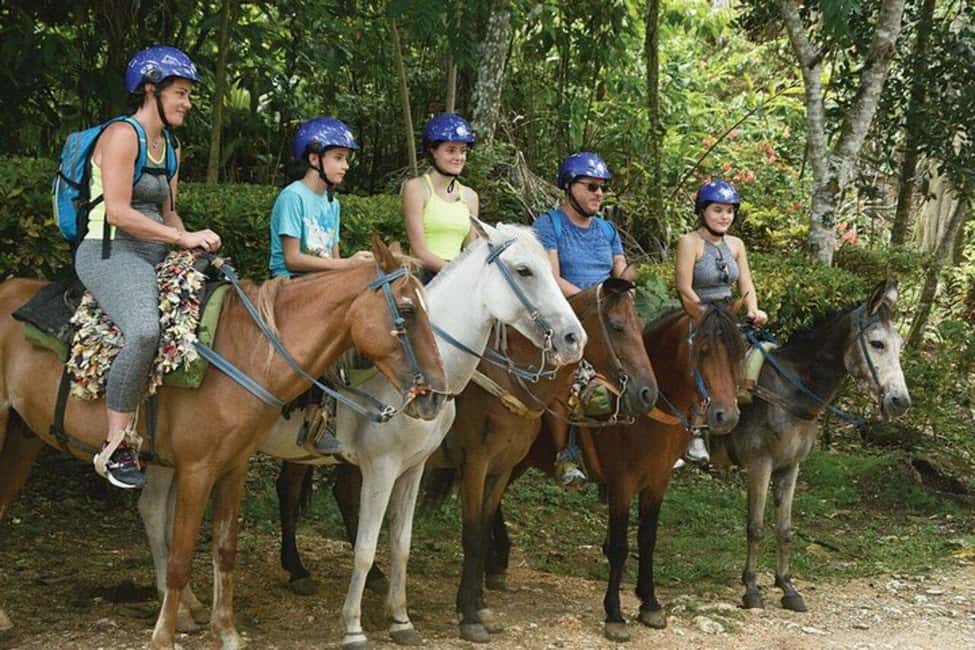 Excursion to Samaná, El Limón Waterfall and Bacardi Island from Punta Cana - Horseback Ride Through Coffee and Cocoa to El Limón