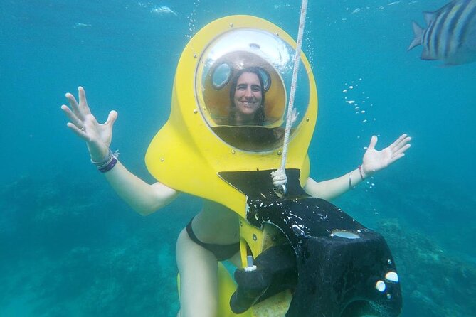 Experience a Submarine Scooter with ScubaDoo Punta Cana - Sea life and shipwreck sightings: what you should expect to see
