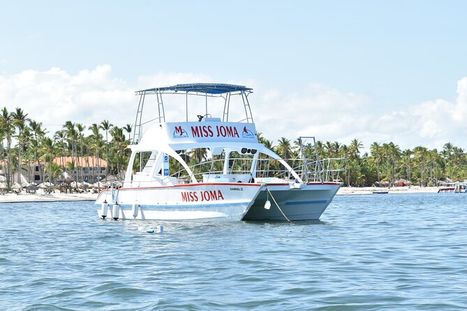 Experience for families and friends by private boat with pick-up - Private boat + pickup: how the day starts