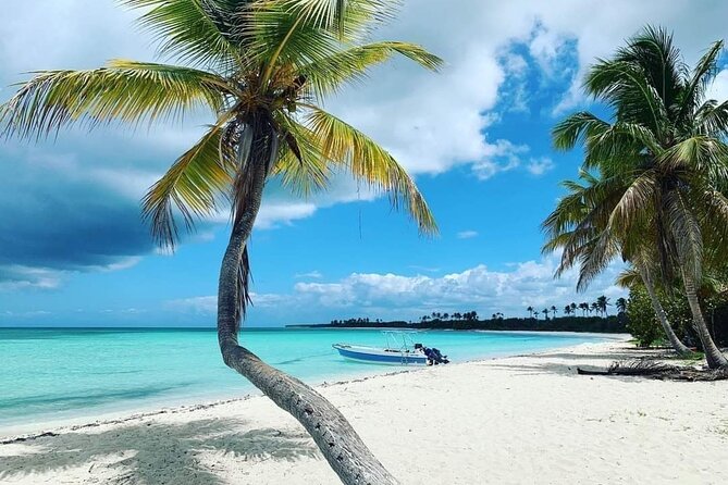 Experience Full Day Tour of Tropical Bliss at Isla Saona - Catamaran Ride from Punta Cana: The Part That Sets the Mood