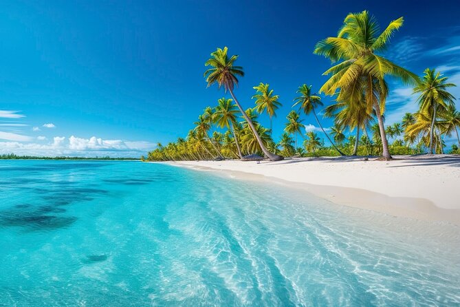 Explore Catalina Island & Snorkeling Adventure from Punta Cana - Key details that matter before you go