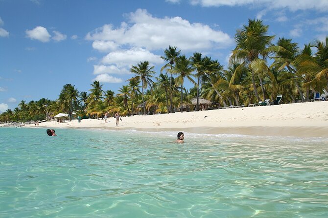 Explore Catalina Island & Snorkeling Adventure from Punta Cana - Snorkeling at The Wall: what you’ll get in the water