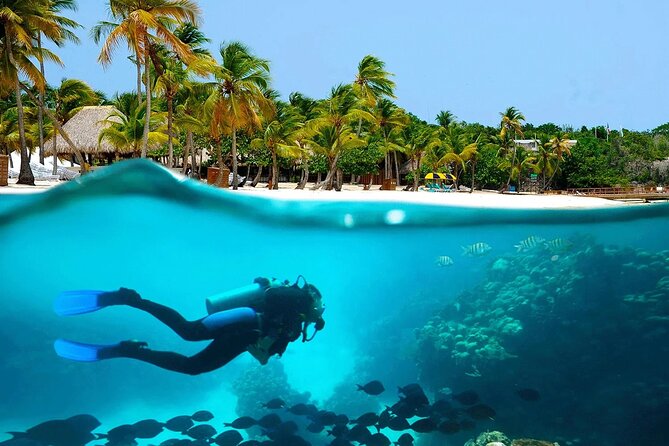 Explore Catalina Island & Snorkeling Adventure from Punta Cana - Catalina west-side beach time, lunch, and drinks