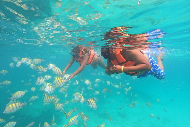 Explore Catalina Island & Snorkeling Adventure from Punta Cana - Price check: is $80 a good value?