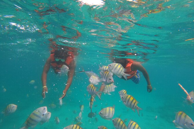 Explore Catalina Island & Snorkeling Adventure from Punta Cana - What to bring and how to prepare