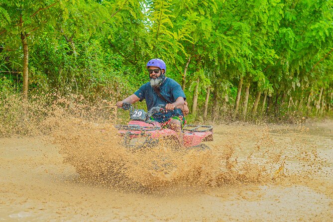 Explore Punta Cana in Buggy - Dominican house tastings: coffee, cacao, and mamajuana with real warmth