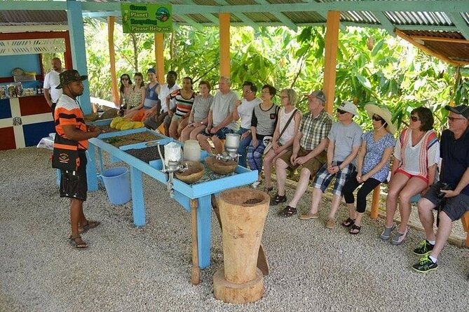 Extreme Buggy Adventure from Punta Cana - Extreme Buggy Adventure From Punta Cana: the vibe in plain words