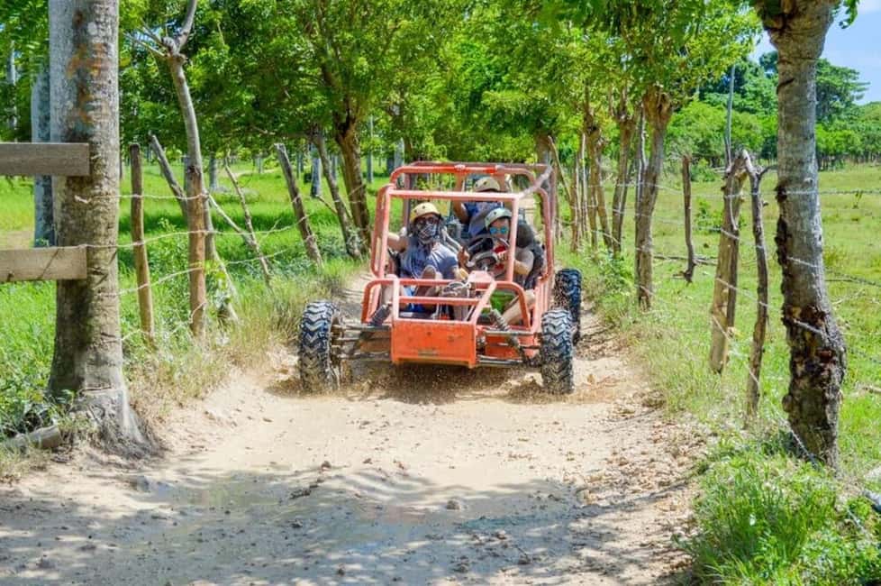 Extreme Dune Buggy Adventure in Macao Beach & Cenote - Cenote time: expect a cool break, but don’t assume it’s long