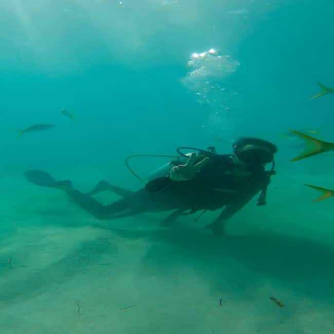 First Time Scuba Diving Experience in Punta Cana - The Bottom Line: Should You Book This Beginner Scuba Session?
