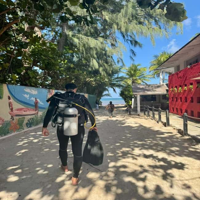 First Time Scuba Diving Experience in Punta Cana - The 210-Minute Plan in Punta Cana (and Why It Matters)