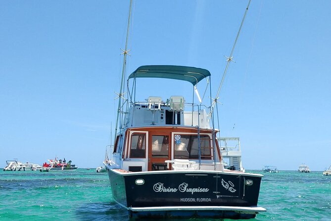 FISHING PRO CHARTERS - Boat Excursion - Divina - Getting there fast: hotel pickup and the 4-hour fishing reality