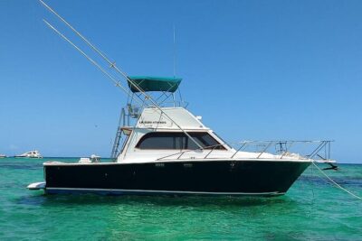 FISHING PRO CHARTERS - Boat Excursion - Divina - The core experience: trolling, line checks, and the rhythm of offshore fishing