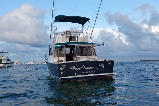 FISHING PRO CHARTERS - Boat Excursion - Divina - Skills, effort, and why some days feel slow