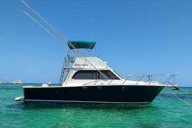 FISHING PRO CHARTERS - Boat Excursion - Divina - The core experience: trolling, line checks, and the rhythm of offshore fishing