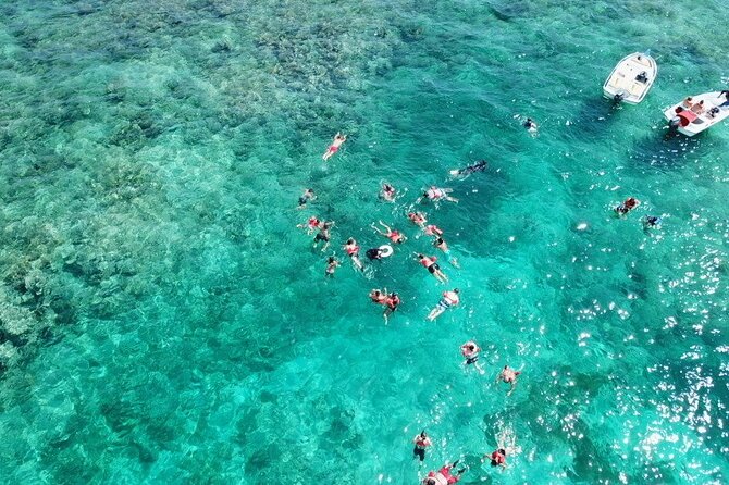 Float & Feast Private Party Cruise with Premium Buffet & Open Bar - Who this Punta Cana cruise fits best