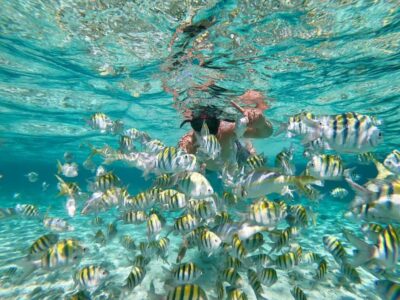 From Bavaro, Punta Cana: Boat Party, Snorkeling, Drinks, Snacks, and Transportation - Getting There From Bávaro: Pickup That Sets the Tone
