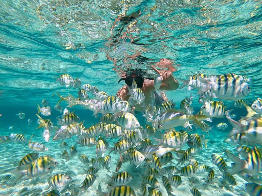 From Bavaro, Punta Cana: Boat Party, Snorkeling, Drinks, Snacks, and Transportation - Getting There From Bávaro: Pickup That Sets the Tone