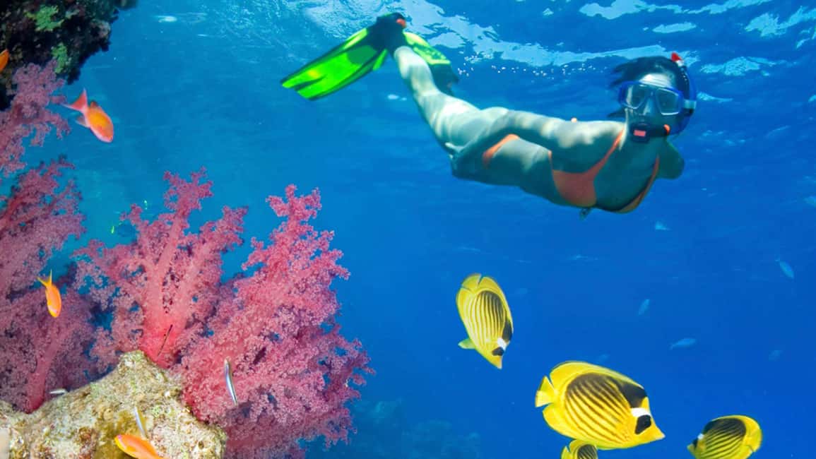 From Punta Cana: Catalina Island Swim, Sail & Snorkel - Chavon River gorge cruise: the scenic part most people don’t expect