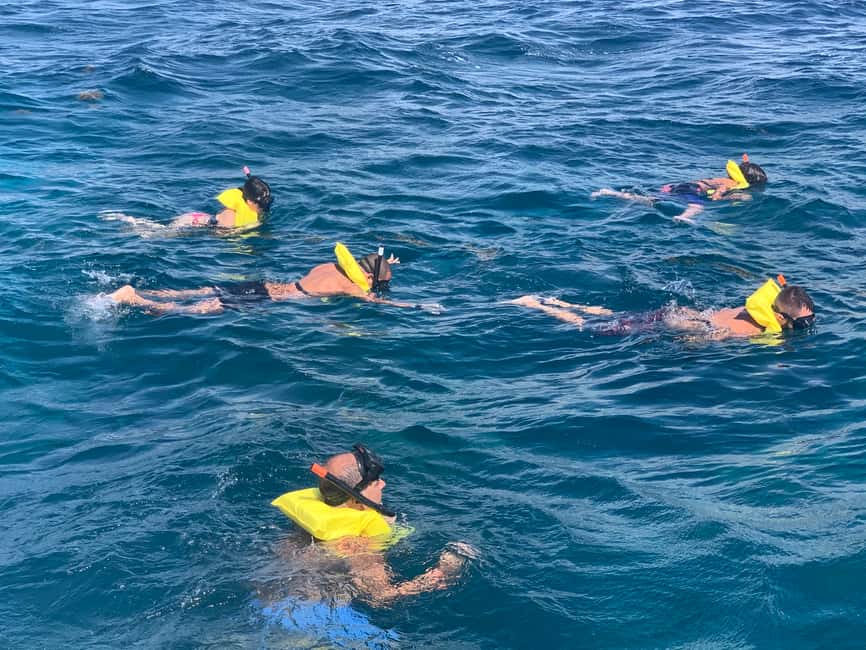 From Punta Cana: Catalina Island Swim, Sail & Snorkel - Price and value: is $79 a fair deal for an 8-hour day?