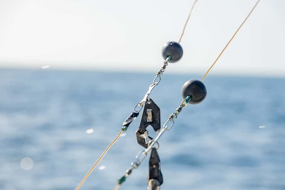 From Punta Cana: Deep Sea Fishing Tour by Boat with Drinks - Quick hits you’ll care about