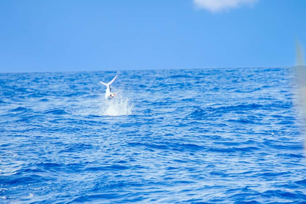 From Punta Cana: Deep Sea Fishing Tour by Boat with Drinks - Price and Value Check: Is $139 a Good Deal for 4 Hours?