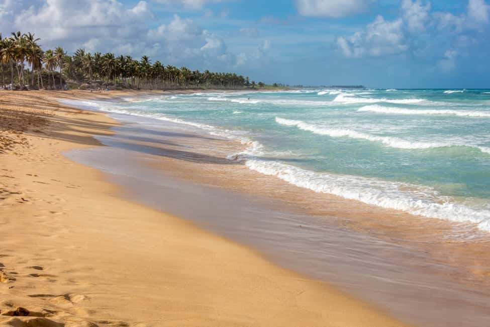 From Punta Cana: Full-Day Island Tour with Lunch - Cigar-rolling demonstration: a craft you can actually watch