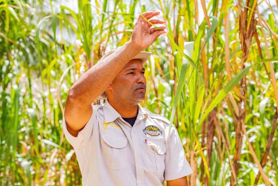 From Punta Cana: Full-Day Island Tour with Lunch - Guides and pickup reality: how to avoid the usual hassles
