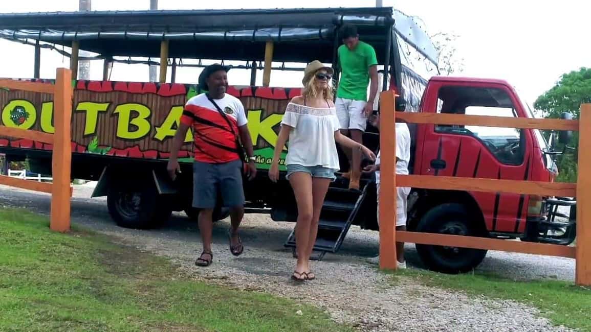 From Punta Cana: Higüey Guided Safari Tour - Higüey City Walk and the Municipal Market View
