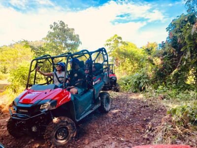 From Punta Cana: Jungle Buggy Adventure to Anamuya River - The Honda Pioneer 700 buggy experience: fast learning, real control