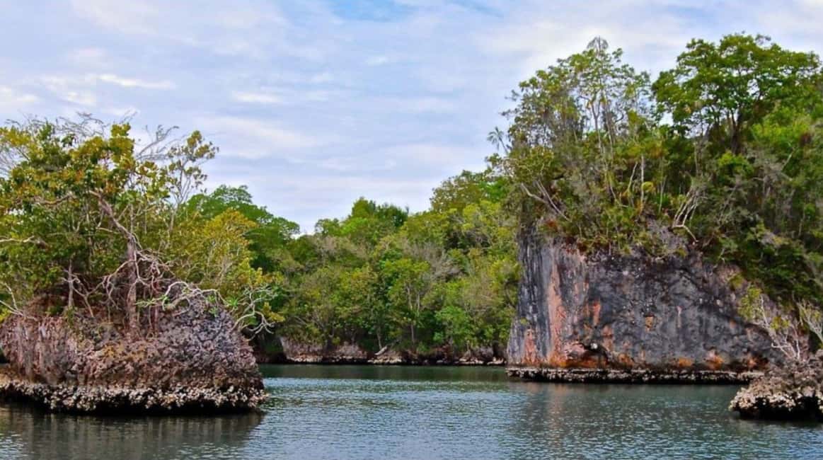 From Punta Cana: Los Haitises Guided Day Tour - Taíno Caves at Arena and Linea: Pictograms and Petroglyphs