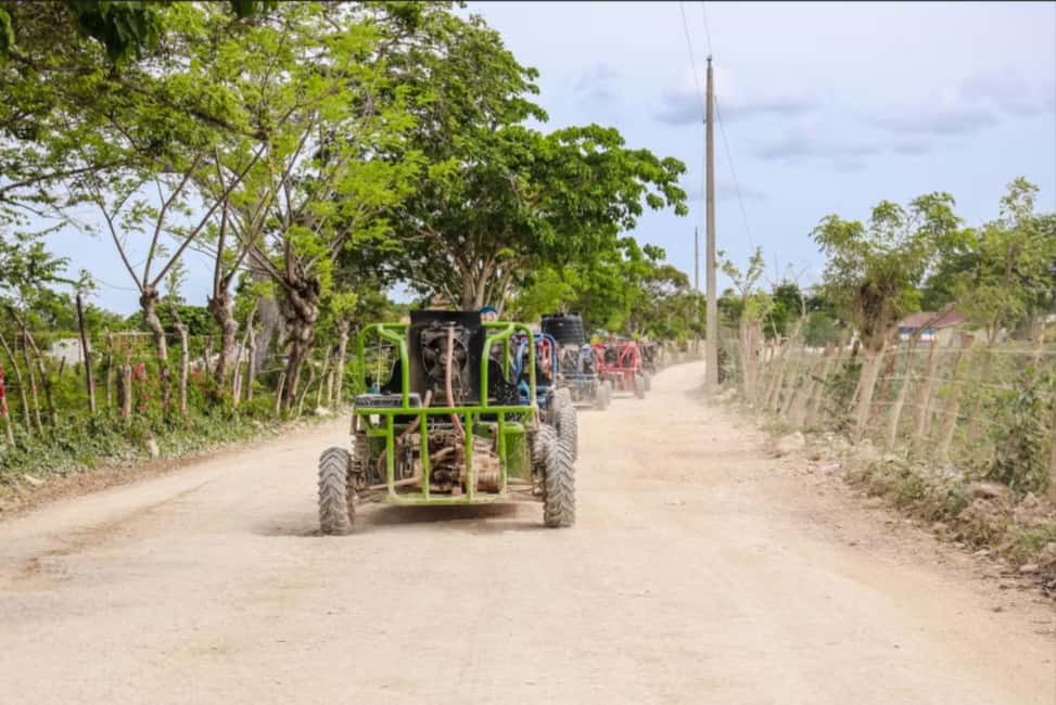 From Punta Cana or La Romana: Sugarcane Fields Buggy or Quad - Sugarcane Fields Buggy or Quad: why it’s such a good value day trip