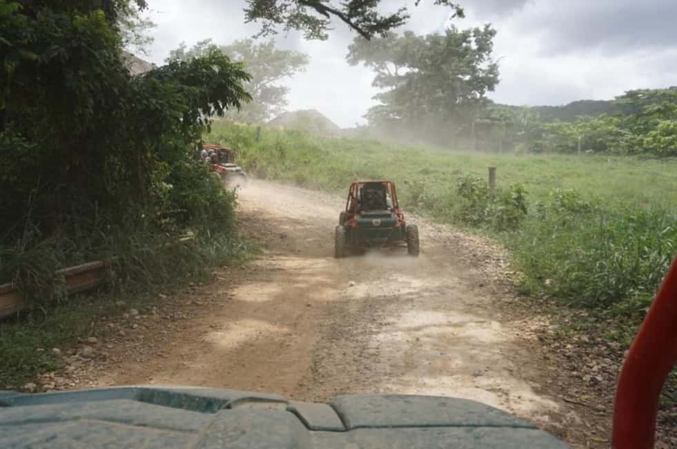 From Punta Cana or La Romana: Sugarcane Fields Buggy or Quad - The 3-hour flow: from hotel pickup to muddy return