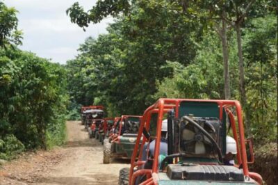 From Punta Cana or La Romana: Sugarcane Fields Buggy or Quad - Driving sugarcane terrain: slopes, puddles, and how to have fun anyway