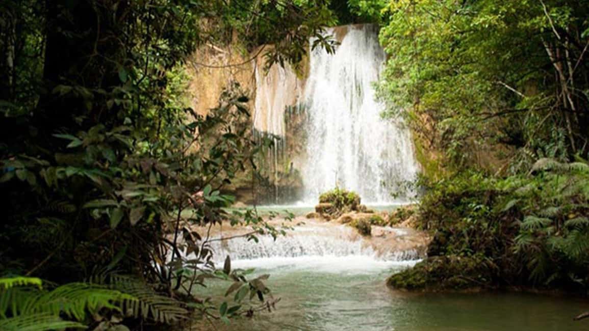 From Punta Cana: Samana and Bacardi Island Cruise and Tour - Cayo Levantado (Bacardí Island): Beach Time With Real Water Notes