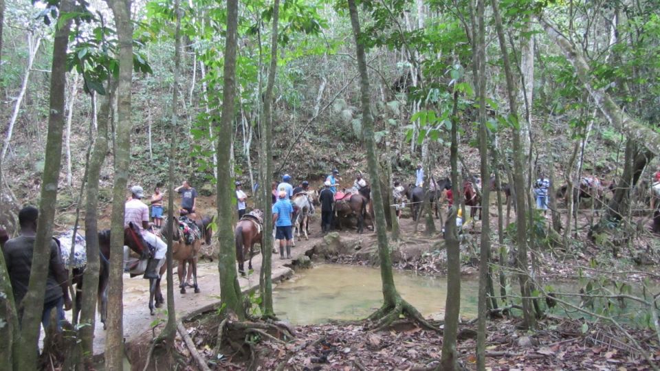From Punta Cana: Samaná, Cayo Levantado & El Limón Waterfall - Practical tips: how to pack for a long, active day