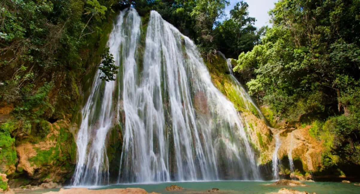 From Punta Cana Samana Tour With Cascada El Limon And Food - Salto del Limón: the waterfall is worth it, but the timing and stairs are real