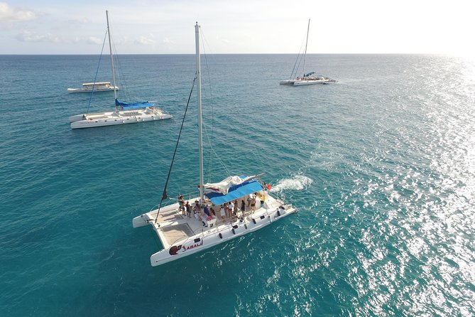 From Punta Cana: Saona Island & Altos de Chavon Day Trip with Lunch and Open Bar - Boat transfers and the music-and-party vibe on the water