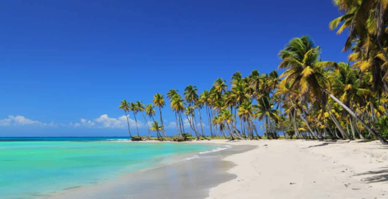 From Punta Cana: Saona Island Boat Trip with Buffet - Key things that make this Saona day trip worth your time