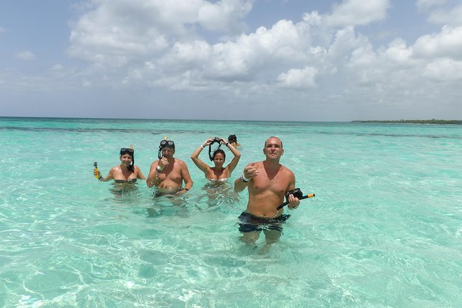 From Punta Cana: Saona Island Full Day For Small Group Catamaran - Key Points If You Want the Quick Take