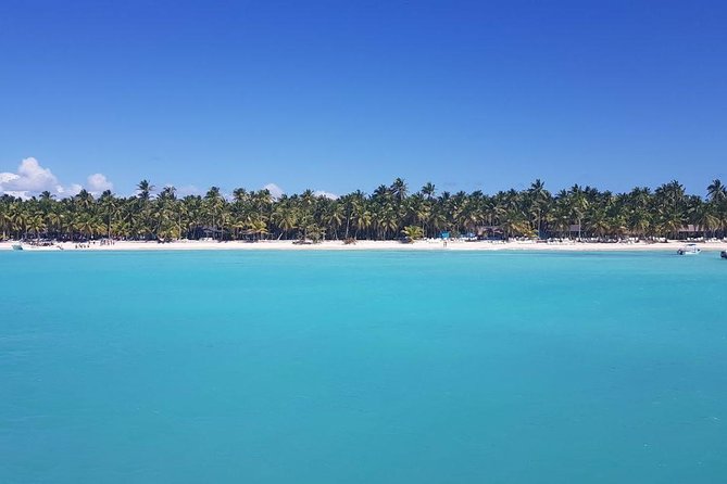 From Punta Cana: Saona Island Full Day For Small Group Catamaran - Buffet Lunch and Open Bar: Value That Shows Up After You’re Hungry