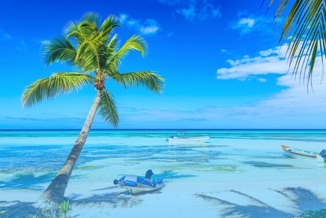 From Punta Cana: Saona Island Full Day For Small Group Catamaran - Photos, DVDs, and the “On-Site Extra” Budget