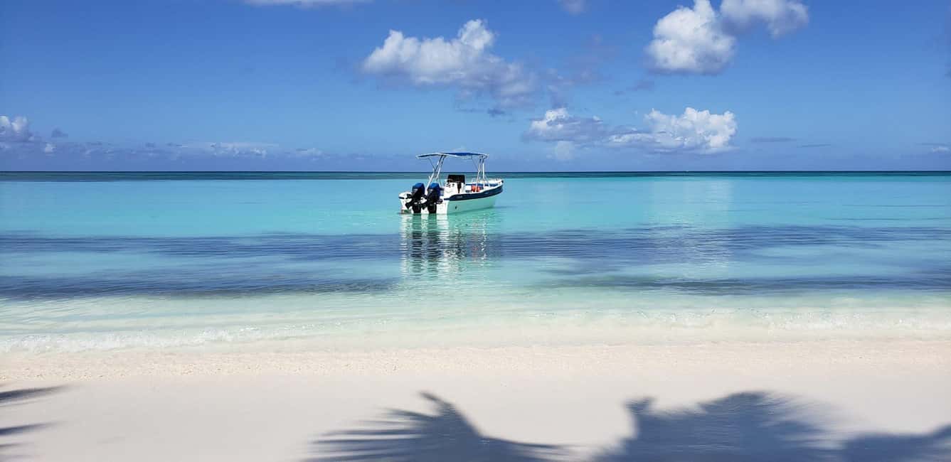 From Punta Cana: Saona Island Full-Day Tour with Lunch - Saona Island Time (3 Hours): What to Do With Your Beach Stretch